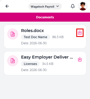 Documents screen showing a document row with its category tag, file size, and the download icon